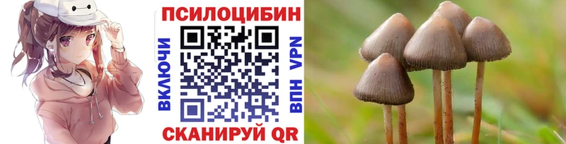 Галлюциногенные грибы GOLDEN TEACHER гидра зеркало Камышин дарнет шоп